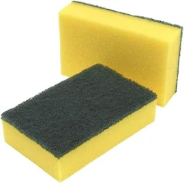 Sponge Scourer, Pack of 10