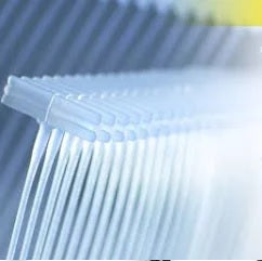 Tag for Tagging Gun, Polypropylene, Pack of 5000