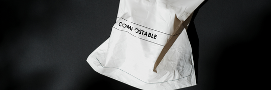 Does Going Environmental Really Cost More? Balancing Eco-Consciousness and Your Bottom Line