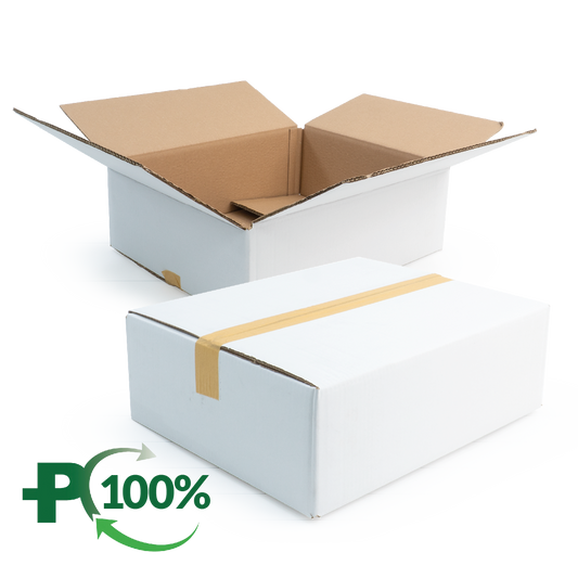 Double Wall White Cardboard Box, Plain, 0201