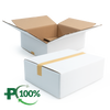 Double Wall White Cardboard Box, Plain, 0201